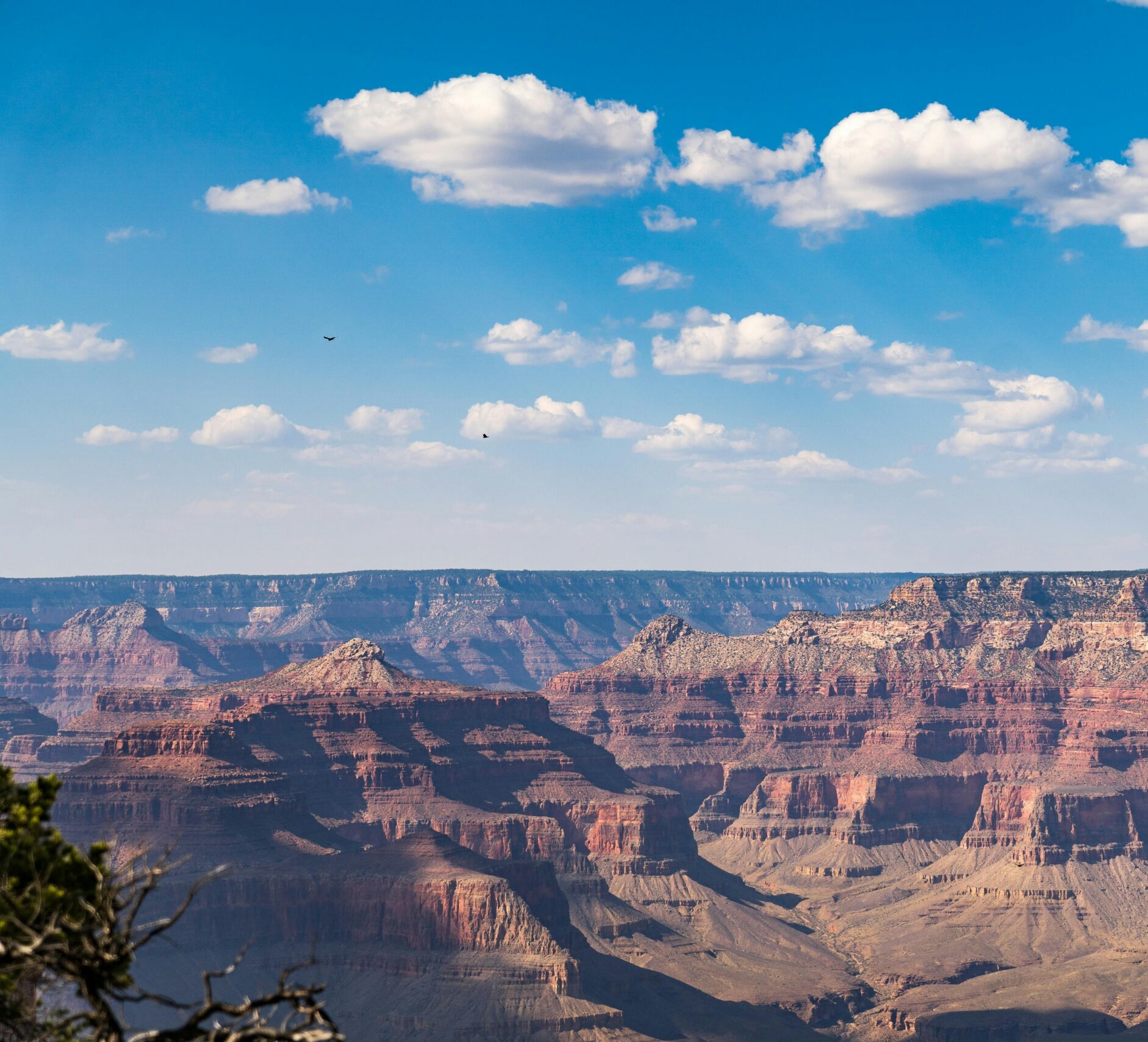 Arizona
